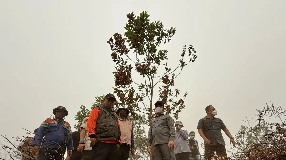 Gubernur Kalbar Ria Norsan melihat proses pemadaman api pada lahan yang terbakar. (Meidy/Pontianak Post)
