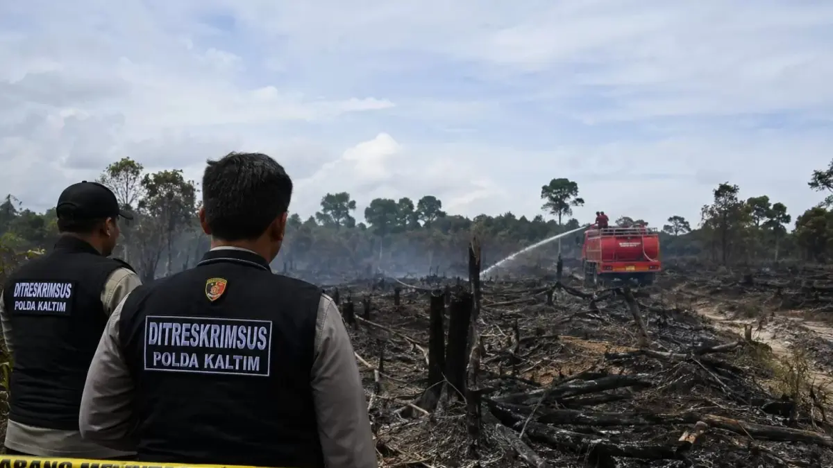 Ilustrasi penyelidikan karhutla. (AI)