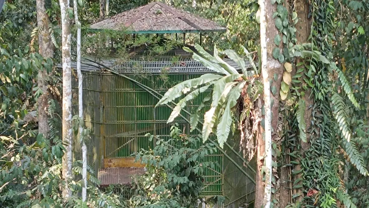 Salah satu kandang evakuasi yang berada di Wildlife Emergency Unit (WRU) BKSDA Kaltim di Samboja Kukar