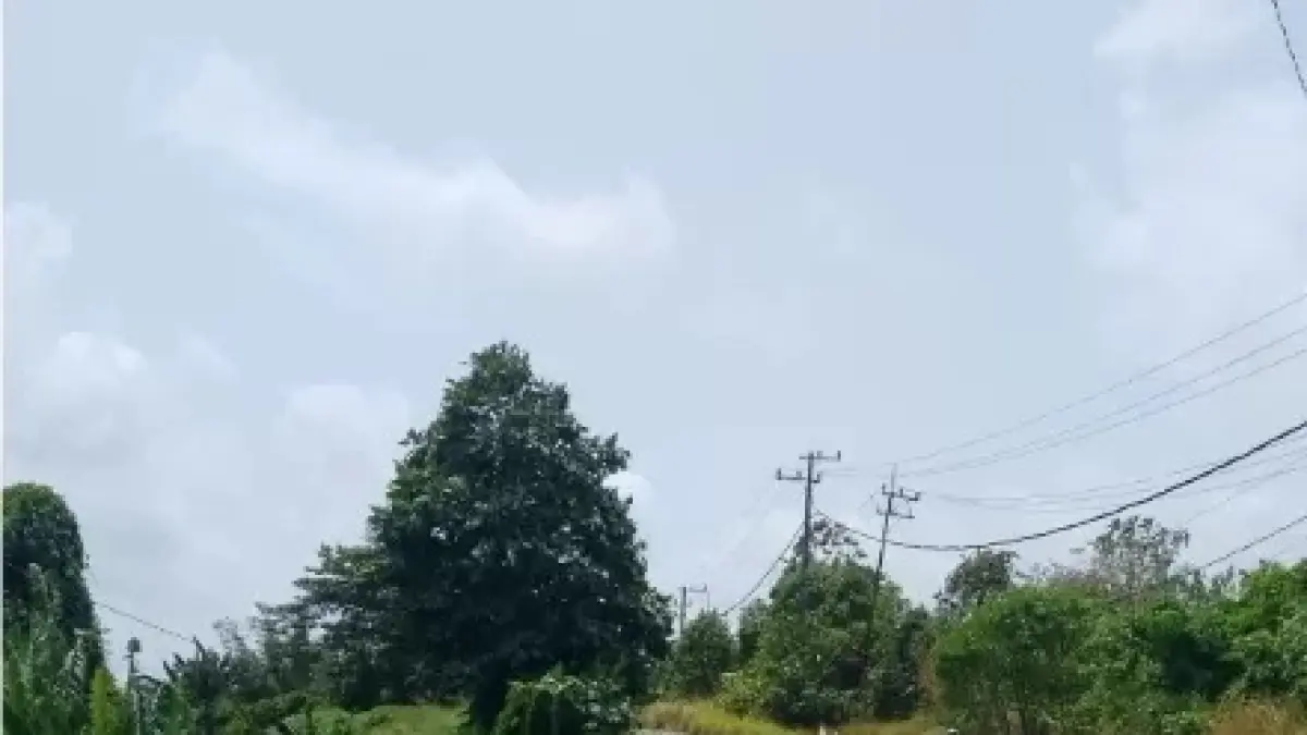 Area Jalan Bunga Rampai, lokasi pembuangan orok bayi di Bukit Cinta Balikpapan. (Foto: Moeso/Balikpapan Pos)