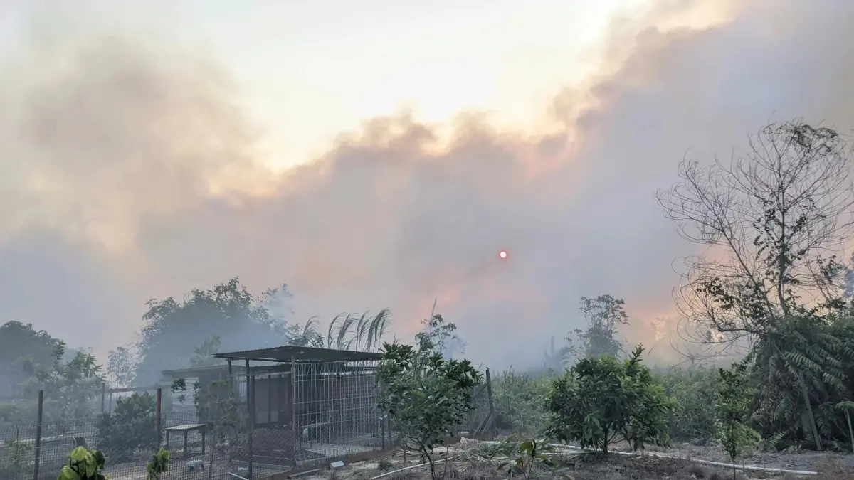  Lahan di Kaltim semakin kering dan panas akibat kemarau berkepanjangan juga pembakaran oleh oknum tak bertanggungjawab.