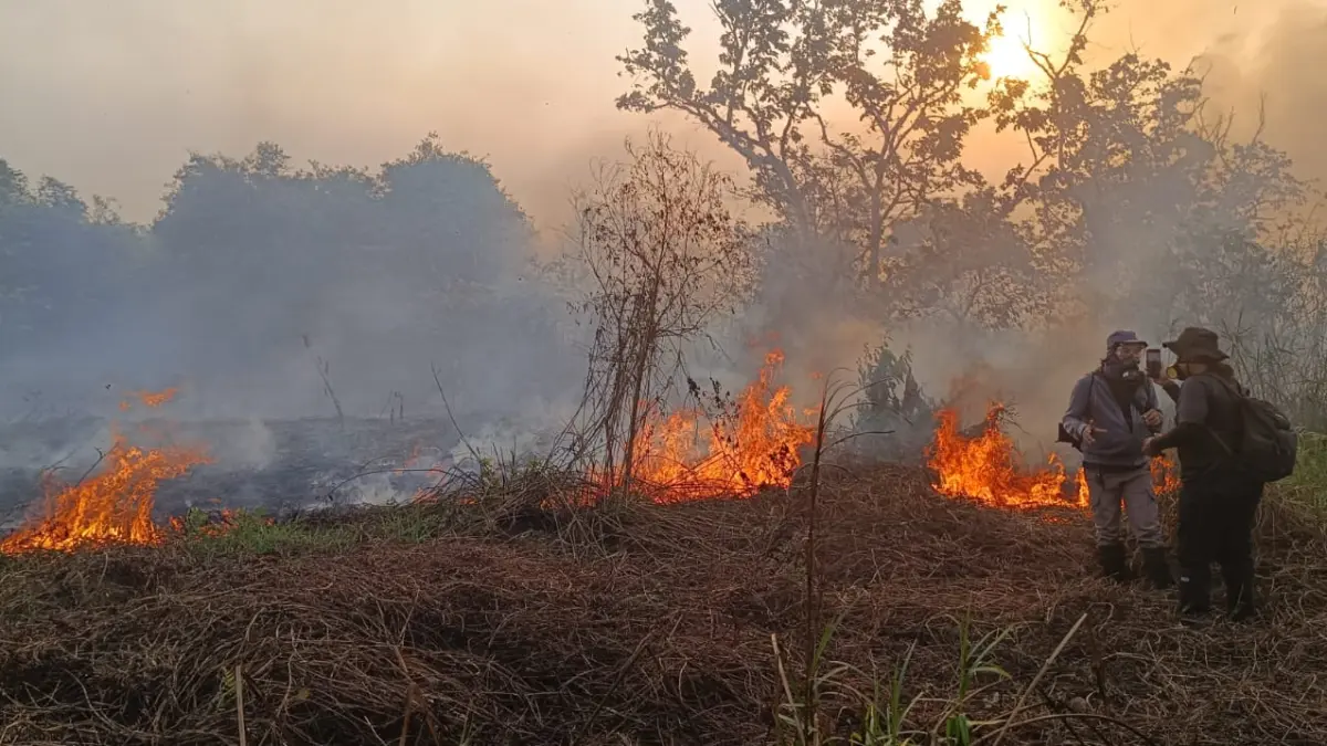 Kebakaran lahan di Betapus, Samarinda.