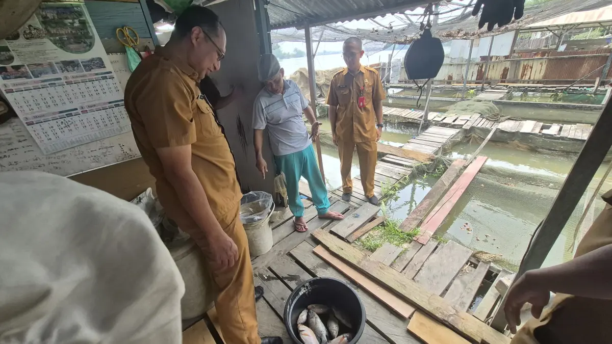 PANTAU: Kepala Diskan Berau, Abdul Majid, bersama tim mamantau laporan petambak soal ditemukannya banyak ikan mati di sekitaran keramba di Jalan Bujangga. SENO/BERAU POST

 
