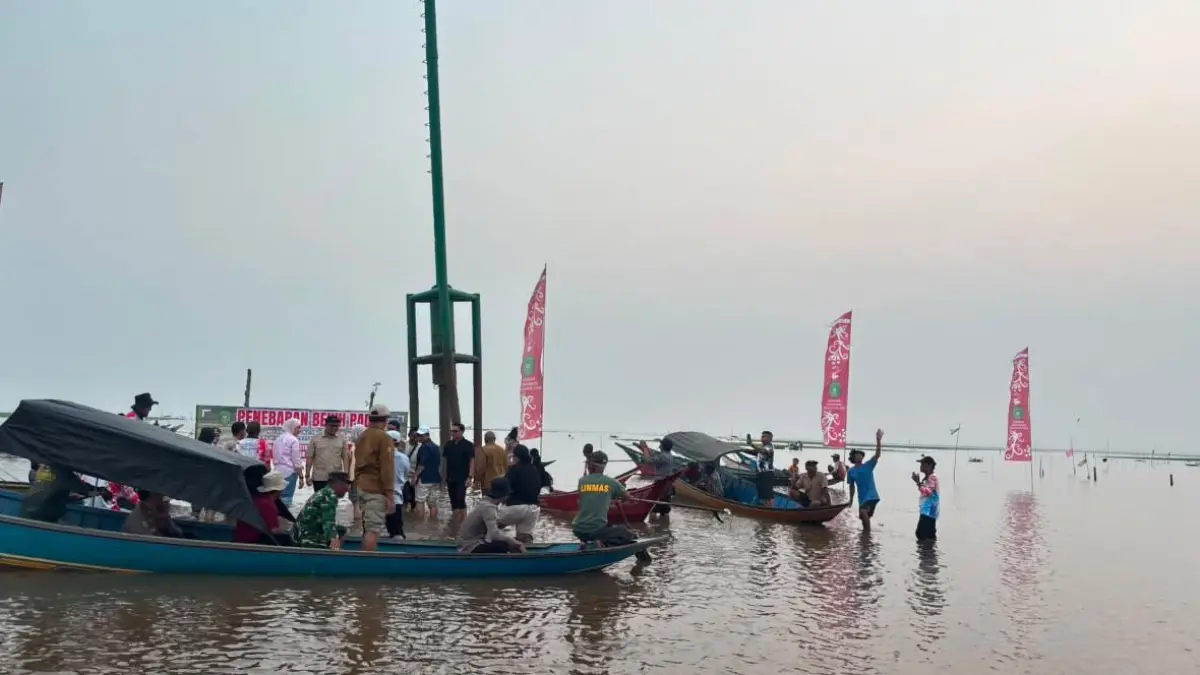 Penebaran benih padi di Danau Semayang yang dilakukan Bupati Kukar Aulia Rahman Basri beberapa saat yang lalu (Istimewa)