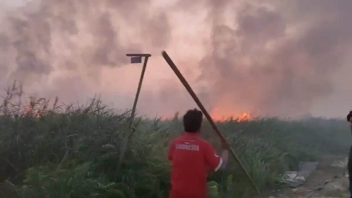 Kebakaran lahan di Samarinda.