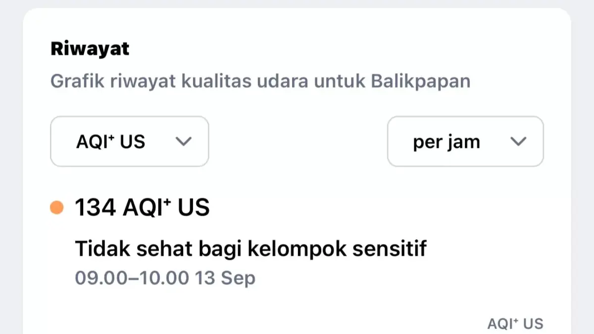 infografis