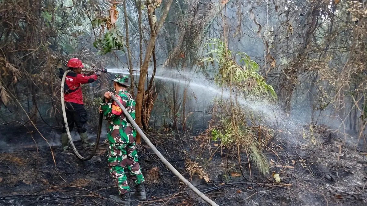 KOLABORASI: Tim gabungan memadamkan karhutla di Kecamatan Waru, PPU.