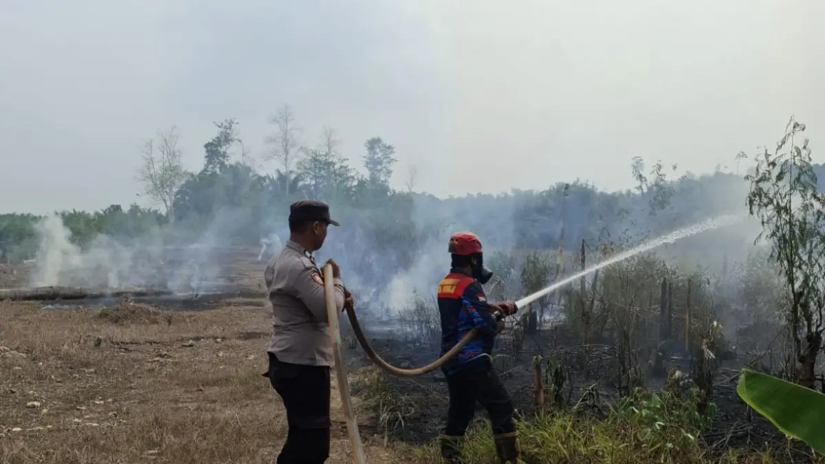 TETAP WASPADA: Meski tren menurun, Pemkab Berau tetap menjaga kewaspadaan terhadap potensi terjadinya karhutla. KPG