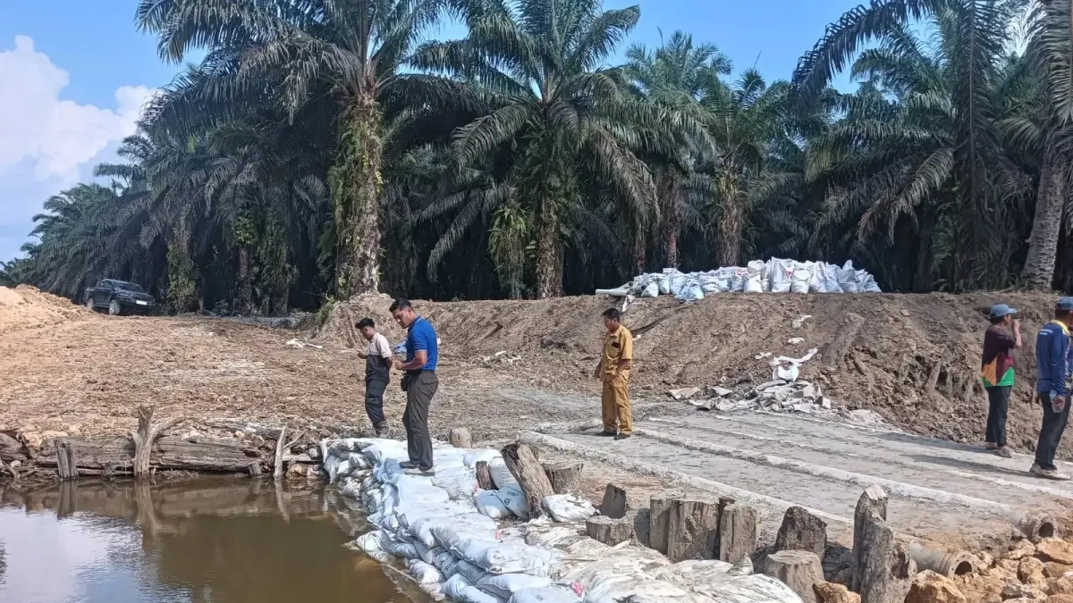 Peninjauan oleh DLH.