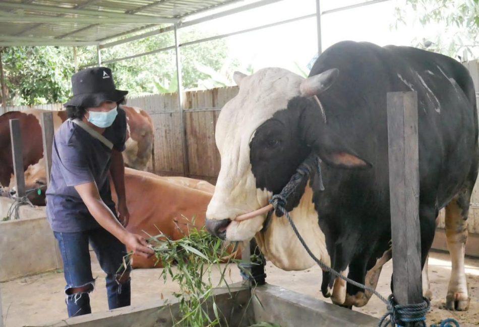 Penjual hewan kurban di Balikpapan.