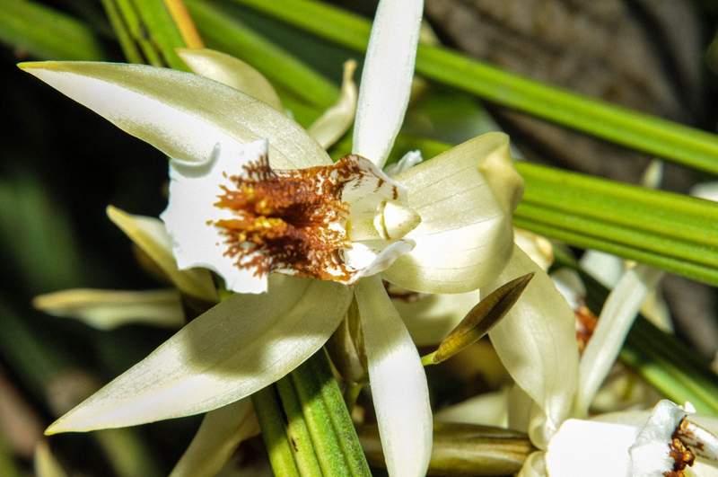 ilustrasi