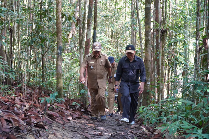 JELAJAH TEMBALANG: Wabup Agus Tantomo menyusuri jalur tracking menuju ari terjun Tembalang di Kecamatan Segah.