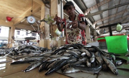 MENURUN: Dinas Perikanan Berau menyebut daya beli masyarakat terhadap ikan mengalami penurunan.