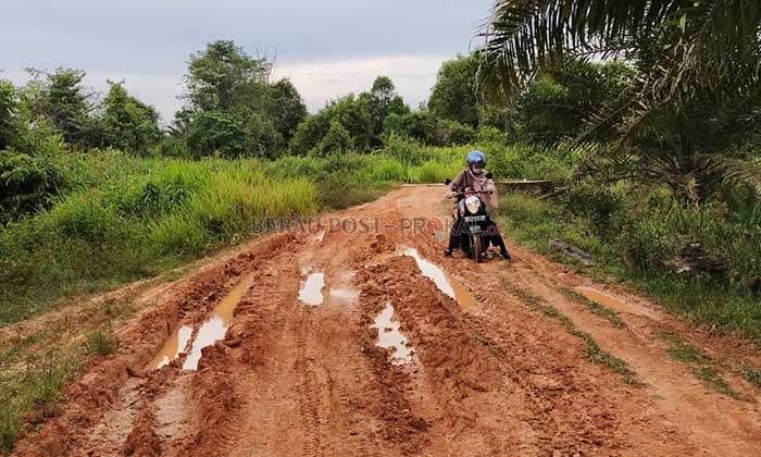 MEMPRIHATINKAN: Kondisi ruas Jalan Flobamora II di Kampung Harapan Jaya, Segah yang rusak cukup parah dan diharapkan masyarakat bisa ditangani pemerintah.