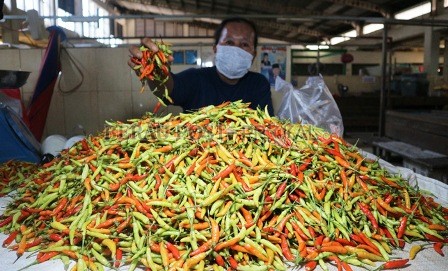 MEROKET: Stok cabai yang menipis, membuat harga cabai tiung di Pasar Sanggam Adji Dilayas naik.