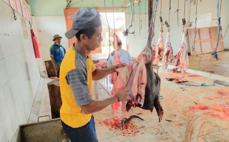 POTONG HEWAN: Petugas UPT RPH yang berada di Gunung Tabur ketika melakukan pembersihan daging sapi beberapa waktu lalu.