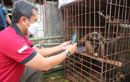 HEWAN DILINDUNGI: Salah satu hewan dilindungi yang diserahkan masyarakat ke BKSDA Kaltim beberapa waktu lalu.