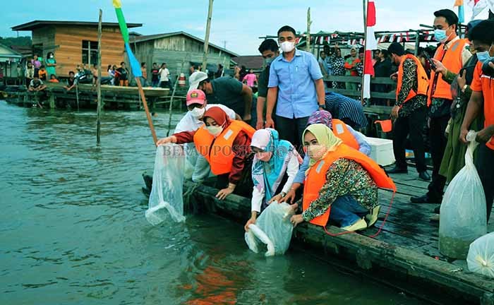 JAGA EKOSISTEM LINGKUNGAN: Penebaran benih ikan (restocking) di Dermaga tambat ketinting Teluk Bayur RT 3 Gang Rumbia, Sabtu (4/12) lalu oleh Bupati Berau Sri Juniarsih, bersama Kadis Perikanan Berau Tentram Rahayu dan Manajer Humas KLK Kaltim Region Jupi