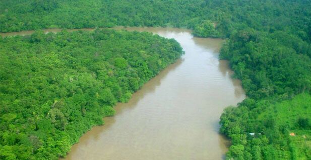 PROGRAM PERHUTANAN SOSIAL: Lahan KBK masih menjadi persoalan terutama bagi masyarakat kampung. Namun melalui program perhutanan sosial, masyarakat mendapatkan hak mengelola kawasan KBK untuk kepentingan ketahanan pangan.