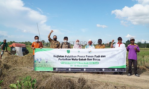 TAMBAH PENGETAHUAN PETANI: PT Berau Coal menggelar program pelatihan pascapanen kepada para petani di Kampung Bebanir Bangun, Kecamatan Sambaliung, kemarin (29/3).