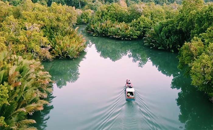 PERCONTOHAN: Keindahan hutan mangrove di Kampung Tembudan yang menjadi pilot project di Kalimantan Timur.