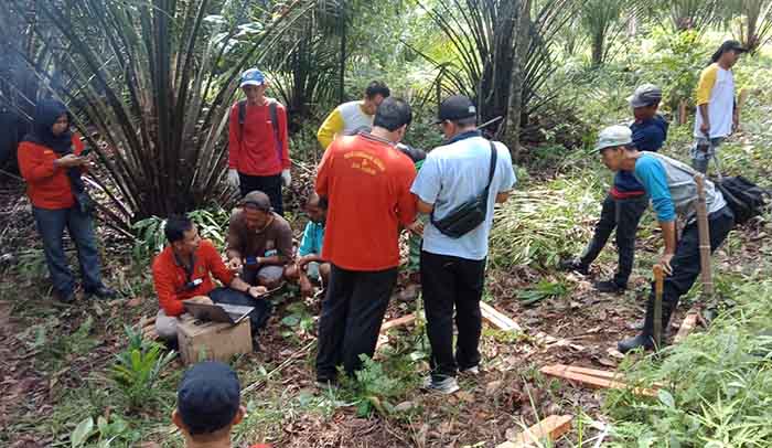 PENENTUAN LOKASI: Tim BPKAD Berau bersama instansi terkait saat melakukan inventarisasi lahan dan tanam tumbuh di eks lahan Inhutani, beberapa waktu lalu. Rencananya, di lahan inilah akan dibangun rumah sakit baru, sesuai janji dan program unggulan bupati