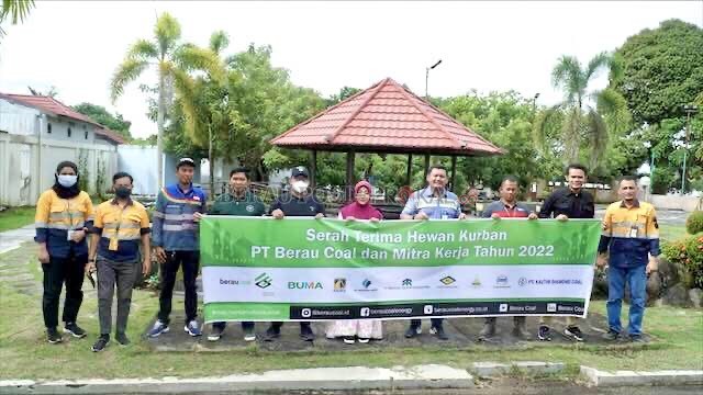 BERBAGI: Serah terima hewan kurban PT Berau Coal dan mitra kerja bersama Bupati Berau, Sabtu (9/7) lalu.