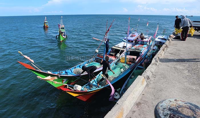 TINGGI: Dinas Perikanan Berau sebut jumlah tangkapan ikan para nelayan di semester pertama ini cukup tinggi, menyusul membaiknya daya beli masyarakat.