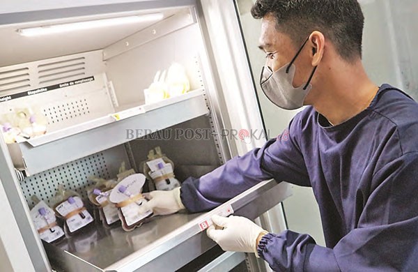 TERSEDIA: Stok darah di PMI sebenarnya tersedia, hanya saja untuk beberapa kasus di rumah sakit membutuhkan darah segar yang tidak bisa disediakan PMI karena terkendala alat.