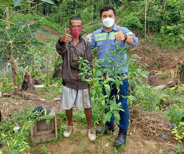 MENJANJIKAN: Mbah No ketika memanen cabai di kebun miliknya. Komoditas cabai di Kampung Sambakungan cukup menjanjikan, Mbah No pun tak sungkan melatih dan memberikan pelajaran kepada warga yang ingin belajar.