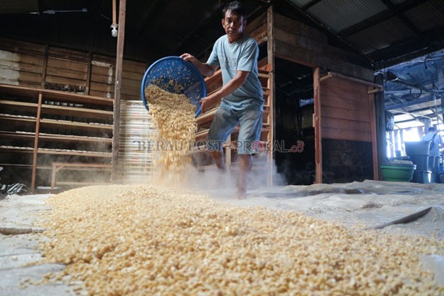 KEDELAI: Harga kedelai di sejumlah wilayah di Indonesia mengalami kenaikan, begitu pula di Berau. Namun, kenaikannya dianggap masih normal.