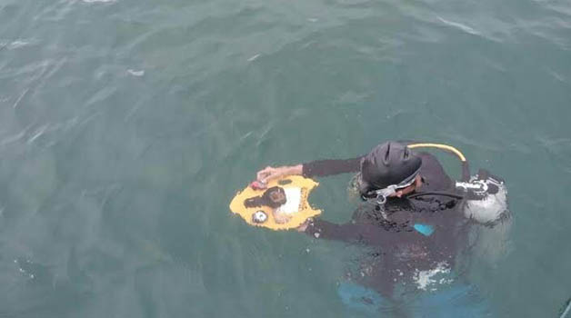 BERLATIH: Atlet selam saat menjalani latihan di perairan Tanjung Batu.