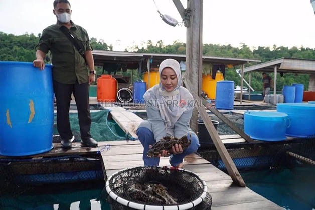 MENJANJIKAN: Sektor perikanan Berau cukup menjanjikan, hingga menarik minat pembeli dari negara lain.