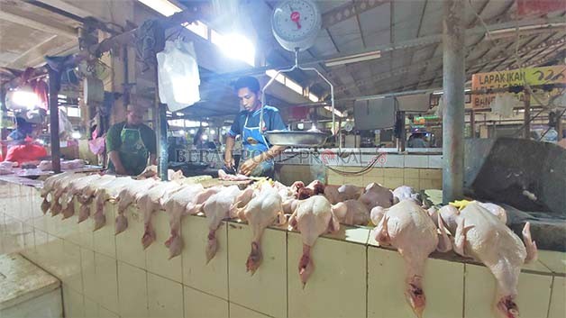 MEROKET: Harga ayam boiler yang ada di Pasar Sanggam Adji Dilayas mengalami kenaikan jelang Iduladha.
