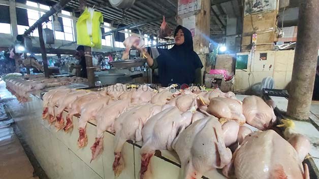 MASIH MAHAL: Harga kebutuhan pokok pasca hari raya Iduladha masih terpantau naik, salah satunya ayam broiler.