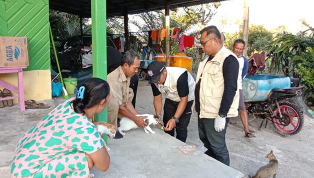 GENCAR SUNTIK RABIES: Beberapa waktu lalu Dinas Pertanian dan Peternakan Berau melakukan penyuntikan kepada hewan untuk menekan terjadinya kasus rabies di Kabupaten Berau.