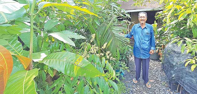 PELESTARI LINGKUNGAN: Bambang Karyanto di antara bibit berbagai tanaman di kediamannya di Banjarmasin Timur, Kota Banjarmasin, Kalsel.