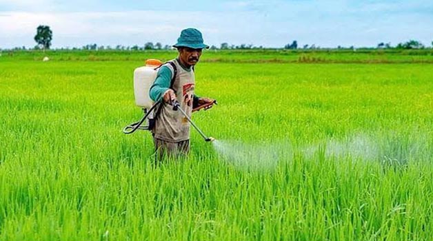 MENJANJIKAN: Pertanian merupakan sektor menjanjikan di Berau yang perlu mendapat perhatian lebih pemerintah.