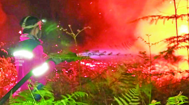 HARUS TAMBAH PERSONEL: BPBD Berau akui kekurangan personel dan butuh dukungan Pemkab Berau.