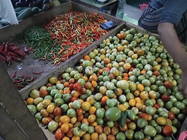 STOK TOMAT: Terlihat stok tomat di Pasar Sanggam Adji Dilayas yang hijau dan sudah dipanen akibat cuaca tidak baik.
