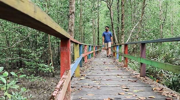 WISATA EDUKASI: Wisata Mangrove menjadi salah satu wisata edukasi. Namun akses jalan menuju lokasi tersebut jadi masalah.