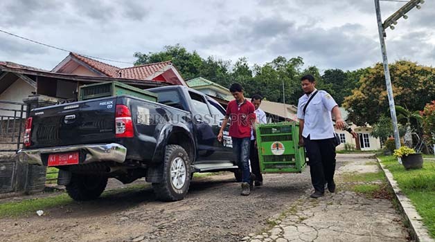 SATWA DILINDUNGI: Petugas BKSDA Kaltim saat membawa hewan dilindungi yang disita dari masyarakat.
