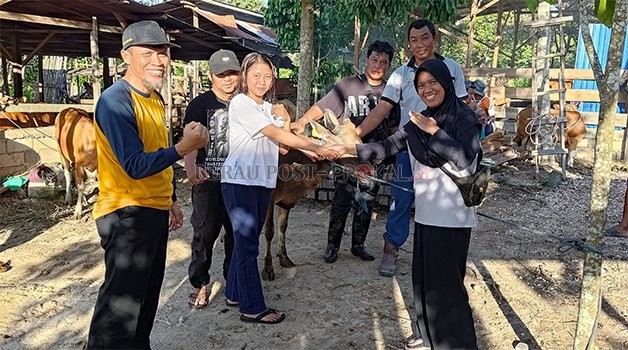 DISALURKAN: Ratusan bibit ternak telah disalurkan Distanak Berau untuk 31 kelompok tani di beberapa kecamatan di Berau.