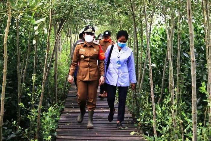 WISATA ALAM: Wali Kota Singkawang Tjhai Chui Mie bersama Kepala Balai Pengelolaan Sumber Daya dan Laut (BPSPL) Pontianak Getreda Melsina meresmikan tracking mangrove di Kelurahan Setapuk Kecamatan Singkawang Utara. IST