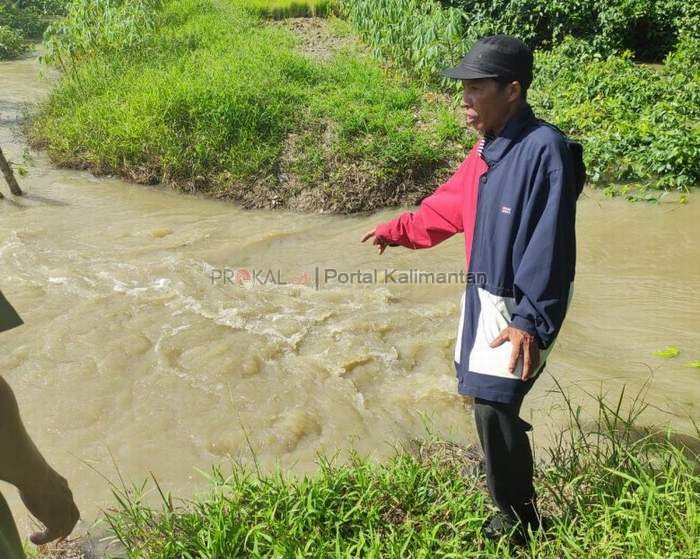 JEBOL: Ketua Poktan Ingin Maju menunjukkan tanggul air jebol.ISTIMEWA