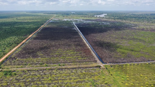 KONSESI: Salah satu areal lahan perusahaan pemegang konsesi yang diduga tidak melakukan restorasi berdasarkan mandat Peraturan Menteri LHK P.16 tahun 2017. DOK. WALHI KALBAR FOR PONTIANAK POST