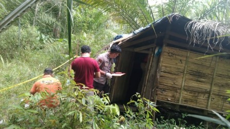 Inilah lokasi dan pondok, tempat ditemukannya mayat Asip yang diduga meninggal karena sakit yang dideritanya. foto Polres Sanggau
