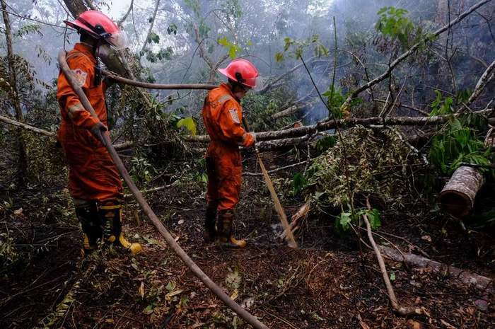 PEMBASAHAN: Relawan Tim Cegah Api (TCA) Greenpeace Indonesia melakukan pembasahan ke tanah gambut yang terbakar di Dusun Bunga Baru, Desa Madusari, Kecamatan Sungai Raya, Kabupaten Kubu Raya, Kalbar. (ANTARA FOTO/JESSICA WUYSANG)