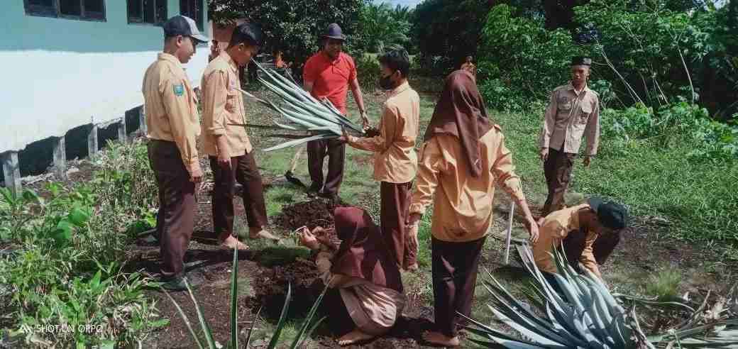 MULOK: Sejumlah pelajar SMPN 12 Sungai Raya melakukan praktik menanam nanas di lahan gambut di halaman belakang sekolah. Kegiatan ini menjadi bagian dari penerapan Mulok Gambut dan Mangrove. (Ashri Isnaini/Pontianak Post)