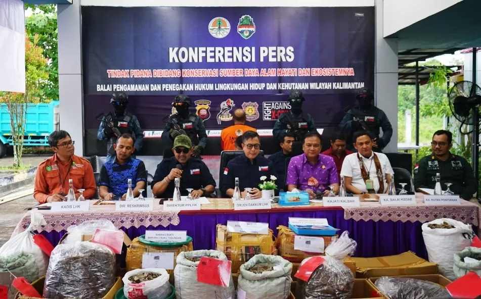 Balai Pengamanan dan Penegakan Hukum Lingkungan Hidup dan Kehutanan wilayah Kalimantan mengungkap jaringan penyelundupan sisik trenggiling, Jumat (3/11). (MEIDY KHADAFI/PONTIANAK POST)